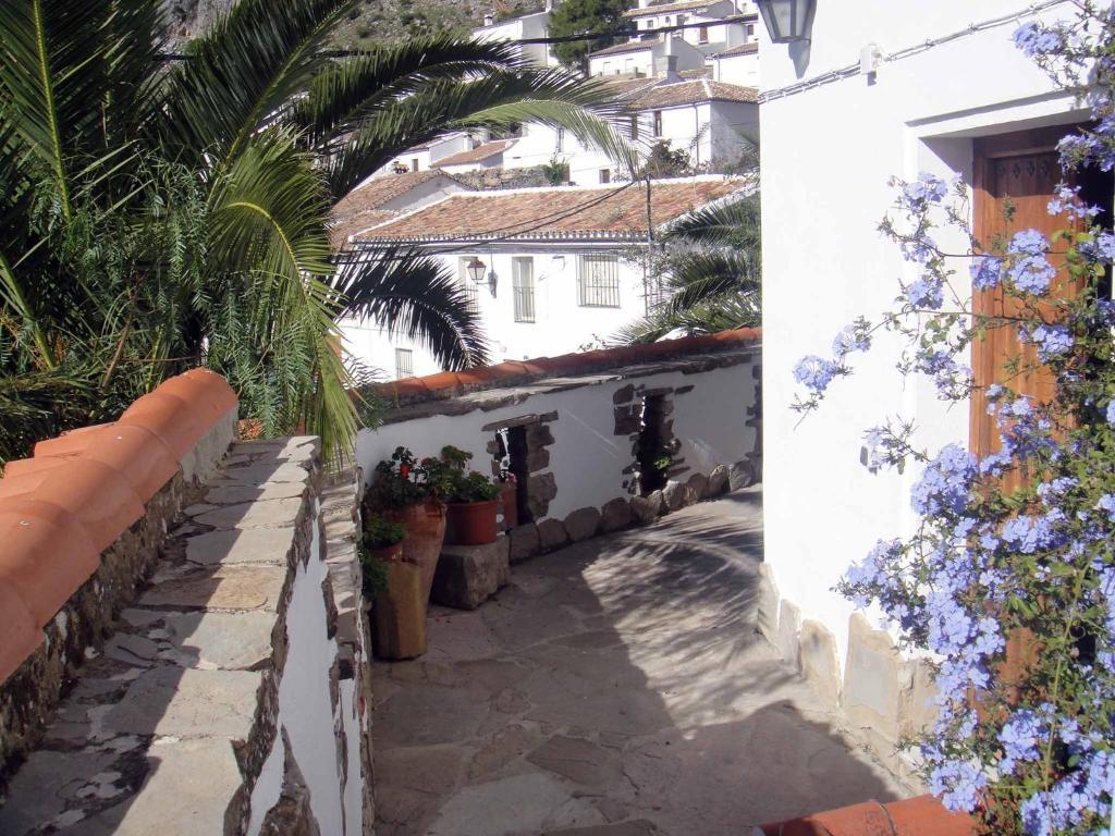 Apartamentos Buganvilla Villaluenga Del Rosario Zimmer foto